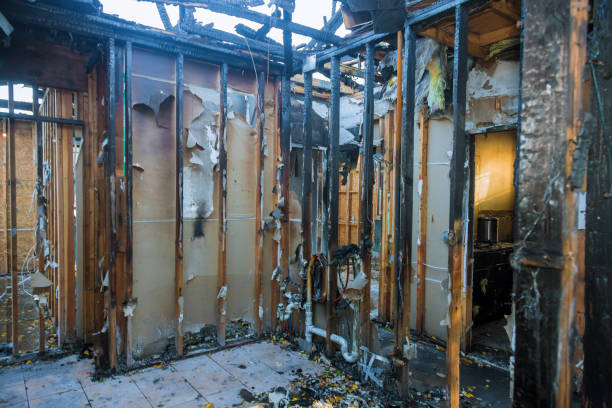 Professional Smoke Damage Removal technician working in Immokalee, FL