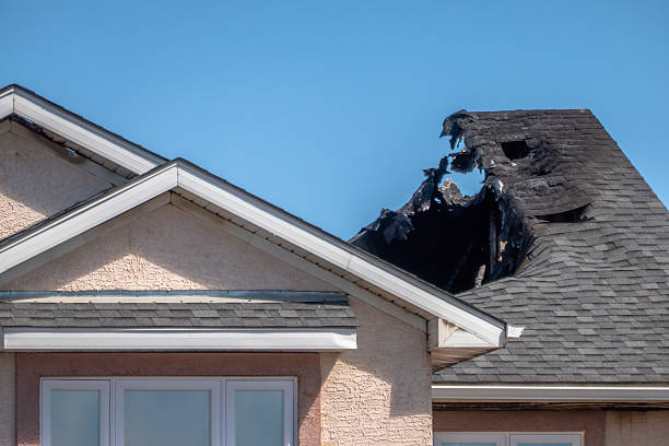 Top rated local Smoke Damage Removal specialists in Immokalee, FL